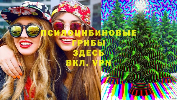 амф Покачи