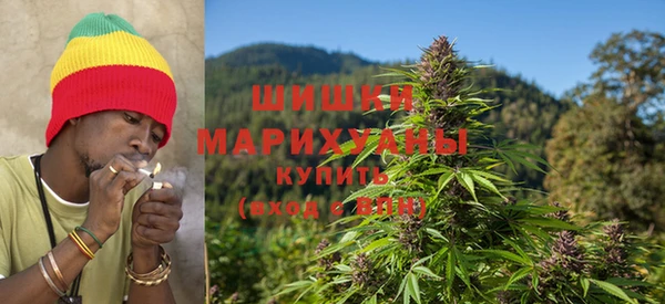 амф Покачи