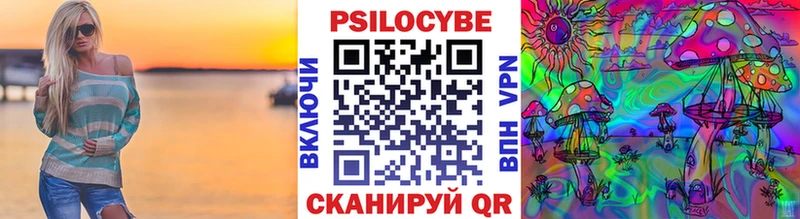 Галлюциногенные грибы Psilocybe  Волгодонск 