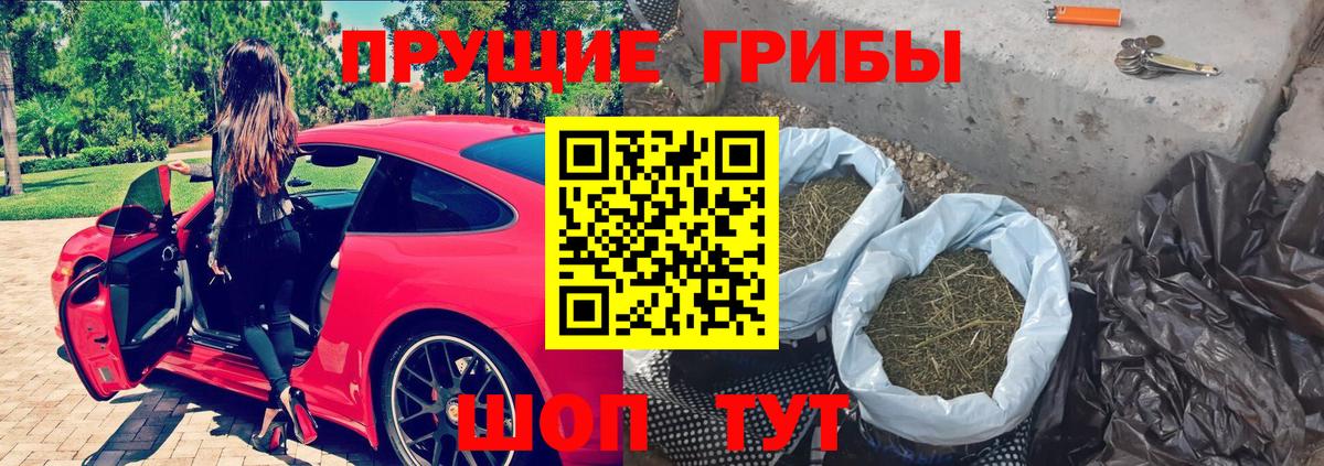 Псилоцибиновые грибы прущие грибы  Волгодонск  цена   Галлюциногенные грибы MAGIC MUSHROOMS 