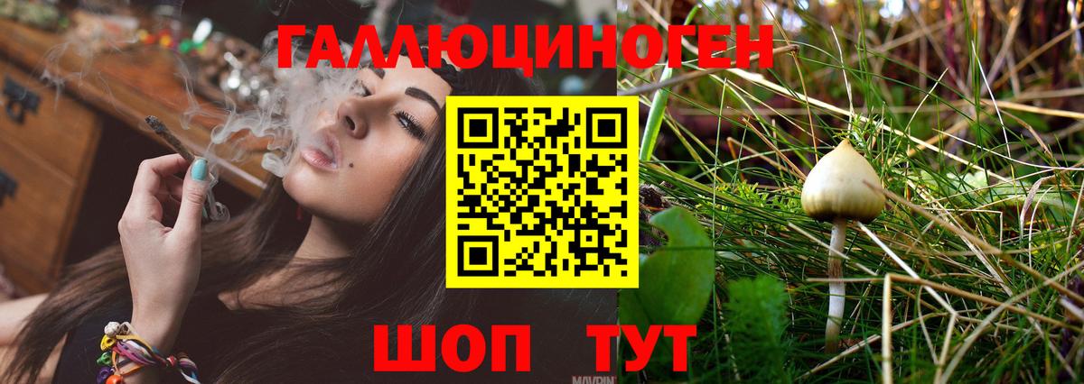Псилоцибиновые грибы мухоморы Волгодонск