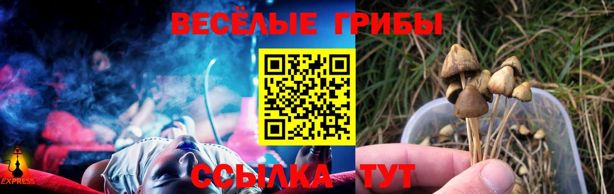 Псилоцибиновые грибы Волгодонск