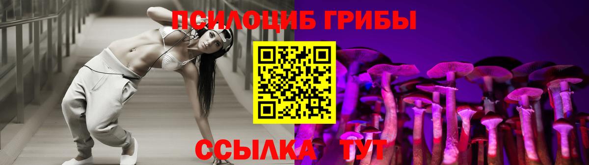 Галлюциногенные грибы Psilocybe Волгодонск