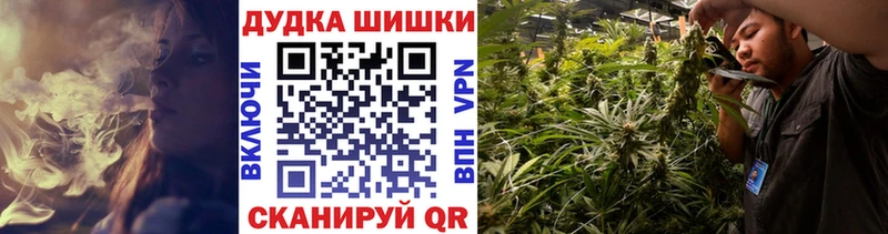 цены наркотик Волгодонск Бошки Шишки семена